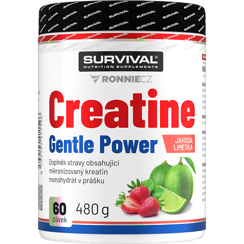 Creatine Monohydrate Gentle Power - 480 g, limeta-jahoda