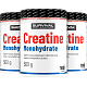 Creatine Monohydrate - 500 g