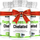 Magnesium Chelated - akce 2+1 zdarma