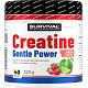Creatine Monohydrate Gentle Power - 320 g, limeta-jahoda