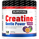 Creatine Monohydrate Gentle Power - 320 g, broskev