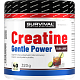 Creatine Monohydrate Gentle Power - 320 g, cola-citron (cuba libre)