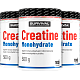 Creatine Monohydrate - 300 g