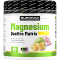 Magnesium Quattro Matrix - 300 g, pomelo-marshmallow