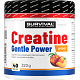 Creatine Monohydrate Gentle Power - 320 g, broskev