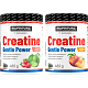 Creatine Monohydrate Gentle Power - 320 g, cola-citron (cuba libre)