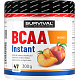 BCAA Instant - 300 g, lesní ovoce