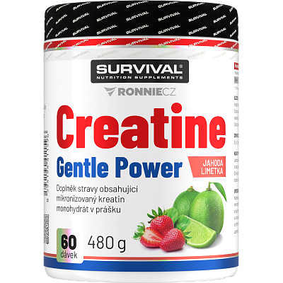 Creatine Monohydrate Gentle Power - 480 g, limeta-jahoda