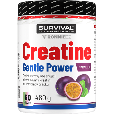 Creatine Monohydrate Gentle Power - 480 g, marakuja