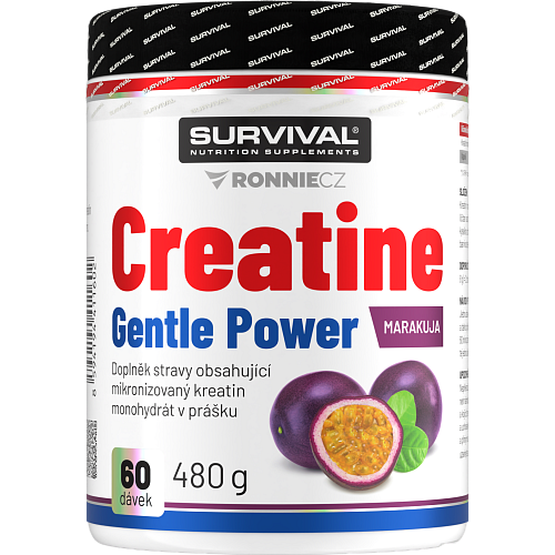 Creatine Monohydrate Gentle Power - 480 g, marakuja